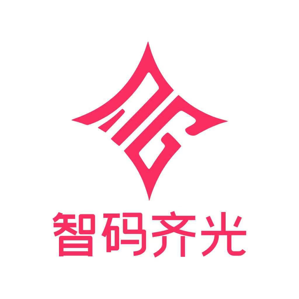 智码齐光