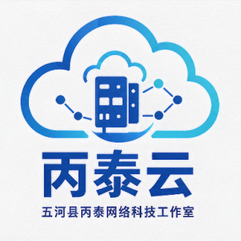 丙泰网络科技